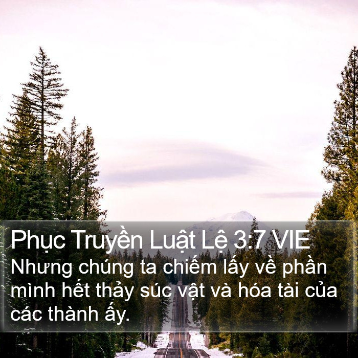 Phục Truyền Luật Lệ 3:7 VIE Bible Study