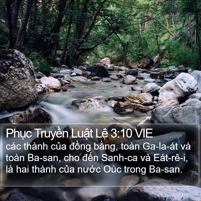 Phục Truyền Luật Lệ 3:10 VIE Bible Study