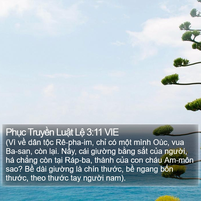 Phục Truyền Luật Lệ 3:11 VIE Bible Study