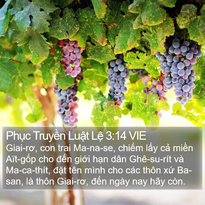 Phục Truyền Luật Lệ 3:14 VIE Bible Study