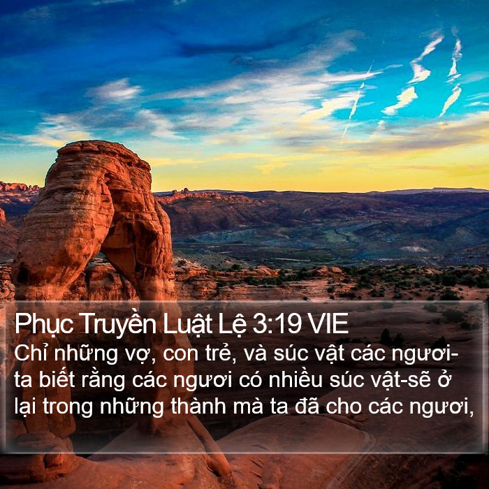 Phục Truyền Luật Lệ 3:19 VIE Bible Study