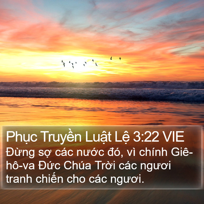 Phục Truyền Luật Lệ 3:22 VIE Bible Study