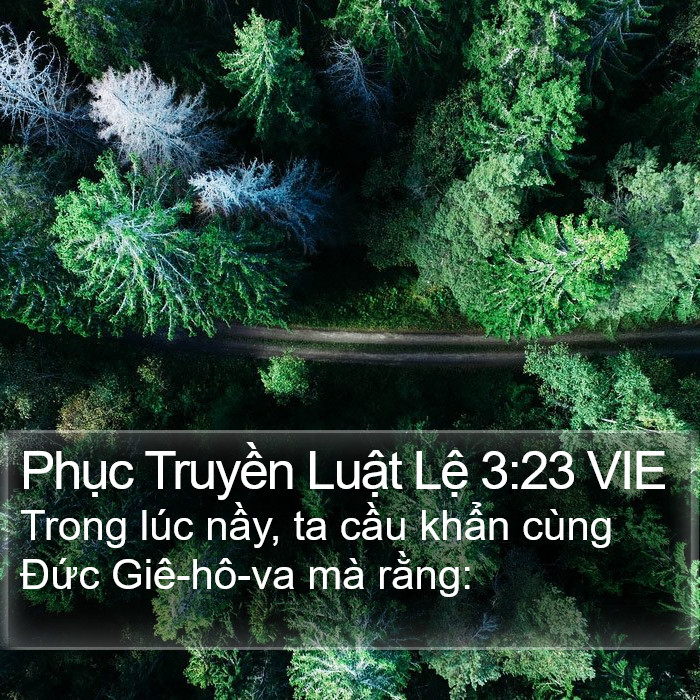 Phục Truyền Luật Lệ 3:23 VIE Bible Study