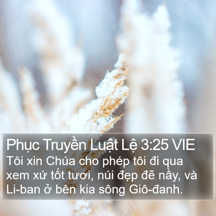 Phục Truyền Luật Lệ 3:25 VIE Bible Study