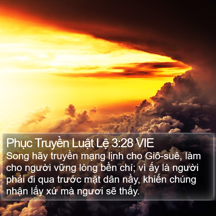 Phục Truyền Luật Lệ 3:28 VIE Bible Study