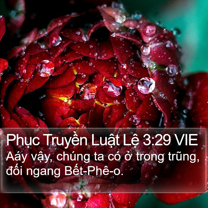 Phục Truyền Luật Lệ 3:29 VIE Bible Study