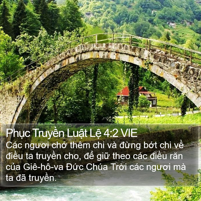 Phục Truyền Luật Lệ 4:2 VIE Bible Study