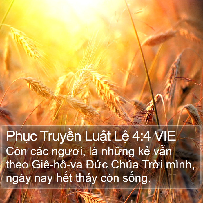 Phục Truyền Luật Lệ 4:4 VIE Bible Study