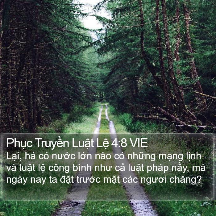 Phục Truyền Luật Lệ 4:8 VIE Bible Study