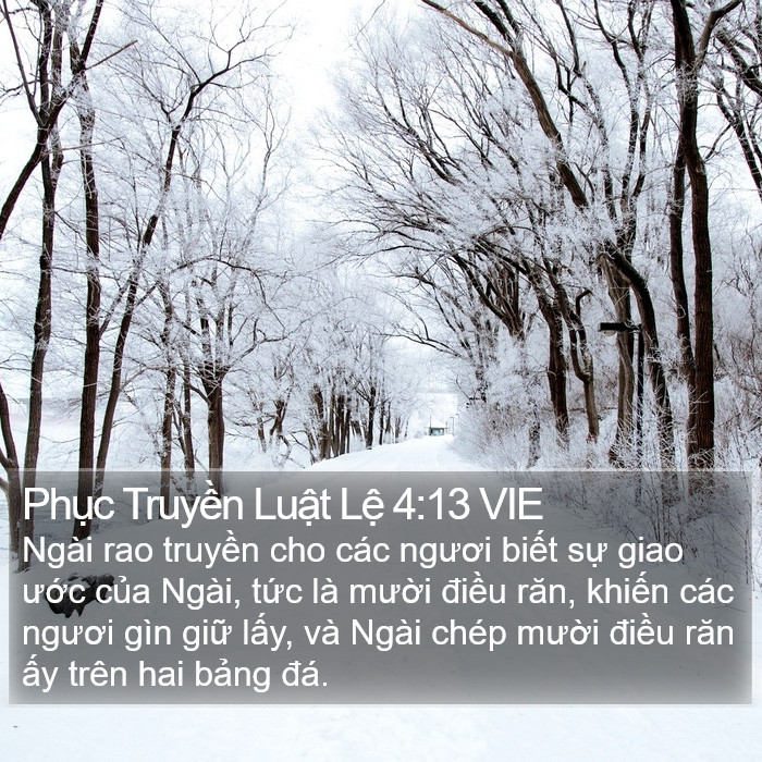 Phục Truyền Luật Lệ 4:13 VIE Bible Study