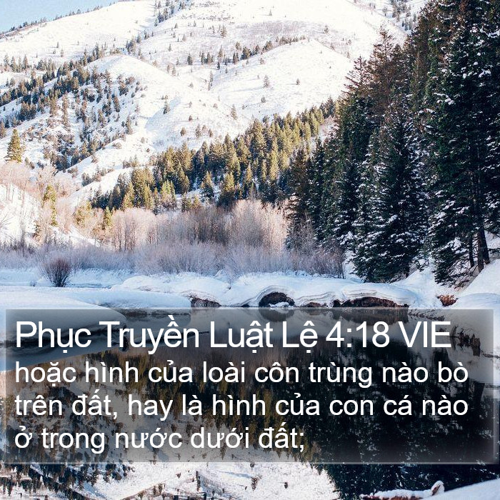 Phục Truyền Luật Lệ 4:18 VIE Bible Study