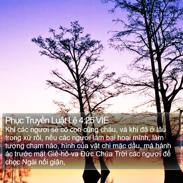 Phục Truyền Luật Lệ 4:25 VIE Bible Study