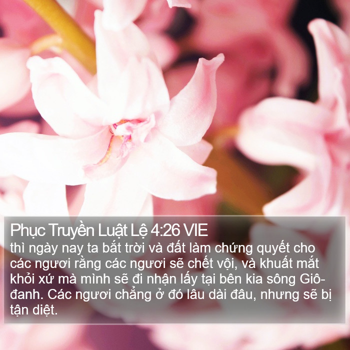 Phục Truyền Luật Lệ 4:26 VIE Bible Study