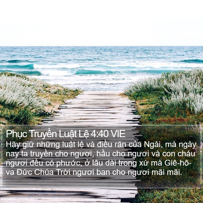 Phục Truyền Luật Lệ 4:40 VIE Bible Study