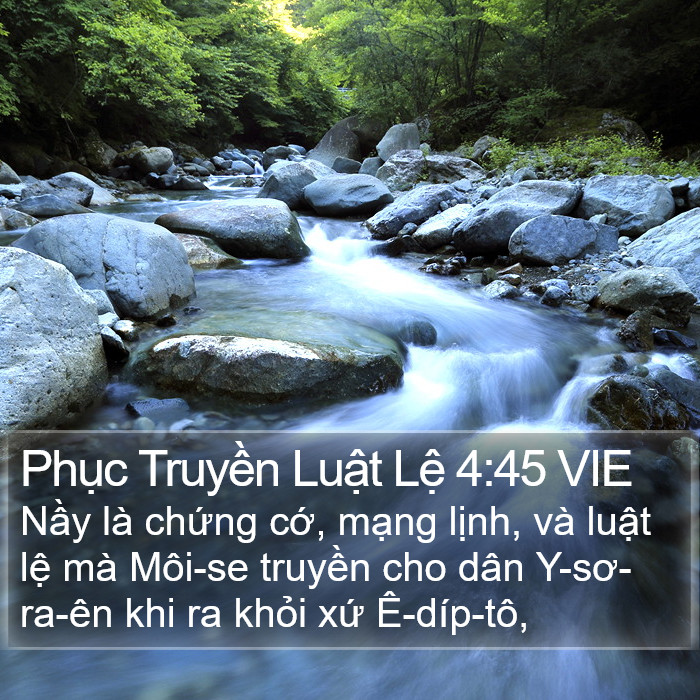 Phục Truyền Luật Lệ 4:45 VIE Bible Study