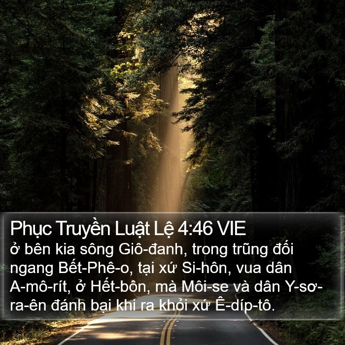 Phục Truyền Luật Lệ 4:46 VIE Bible Study