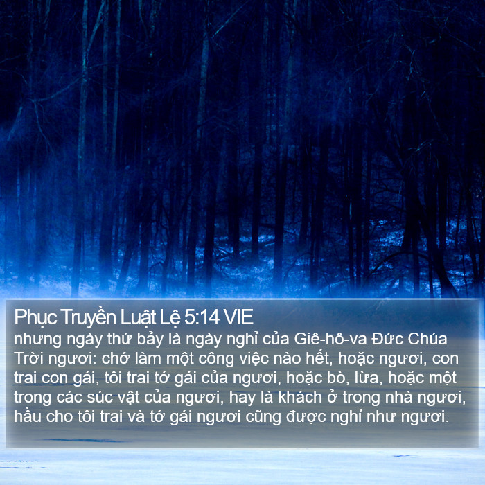 Phục Truyền Luật Lệ 5:14 VIE Bible Study