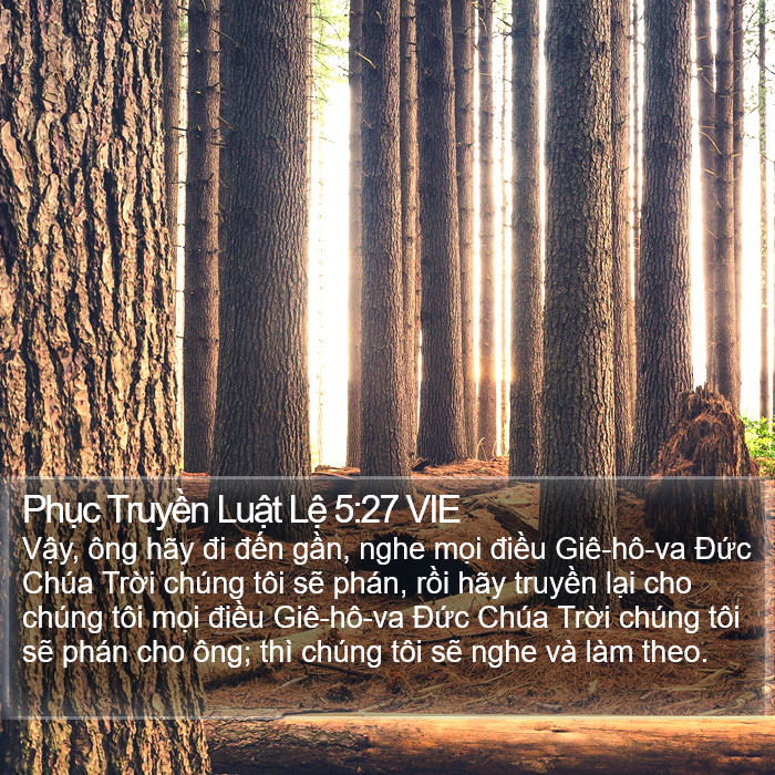 Phục Truyền Luật Lệ 5:27 VIE Bible Study