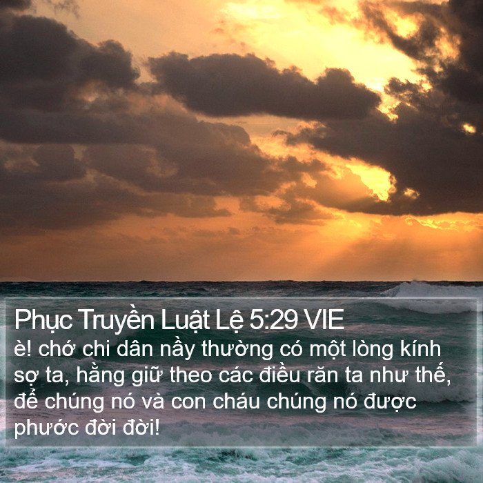 Phục Truyền Luật Lệ 5:29 VIE Bible Study