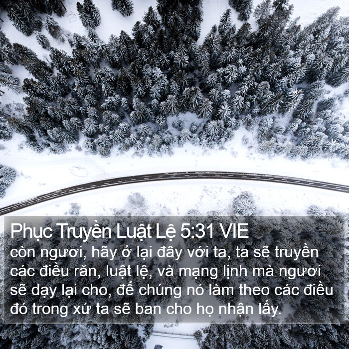 Phục Truyền Luật Lệ 5:31 VIE Bible Study
