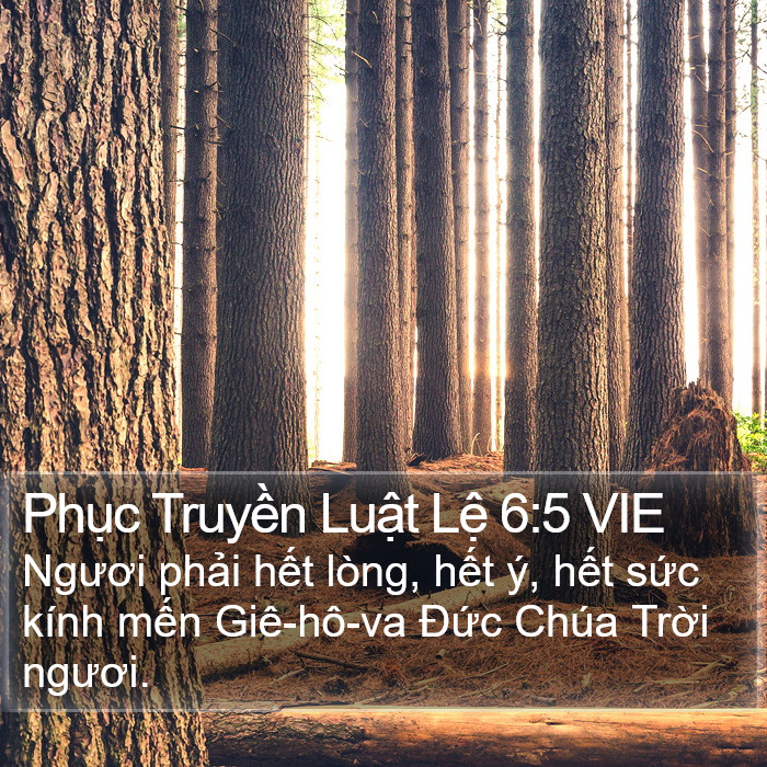 Phục Truyền Luật Lệ 6:5 VIE Bible Study