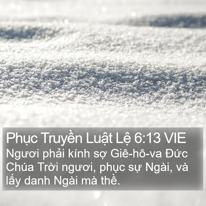 Phục Truyền Luật Lệ 6:13 VIE Bible Study