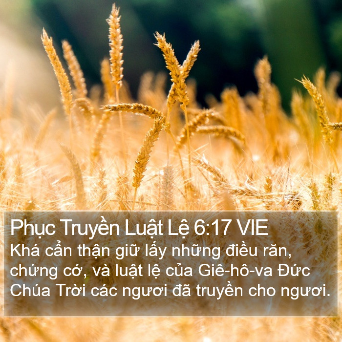 Phục Truyền Luật Lệ 6:17 VIE Bible Study