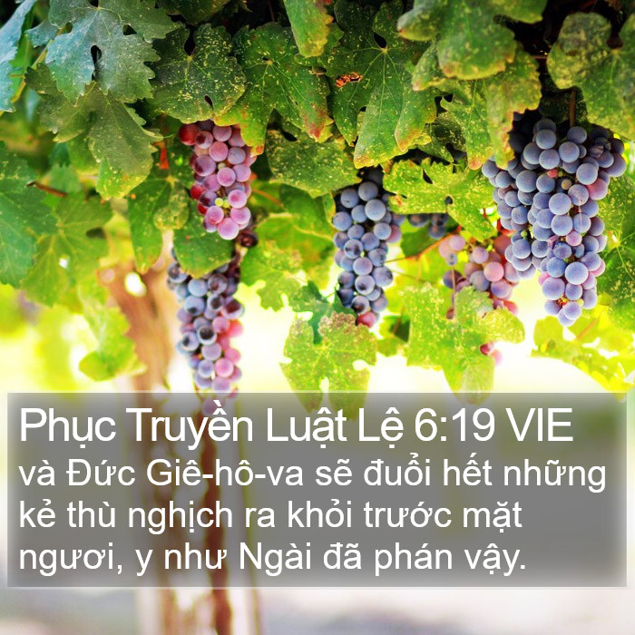 Phục Truyền Luật Lệ 6:19 VIE Bible Study