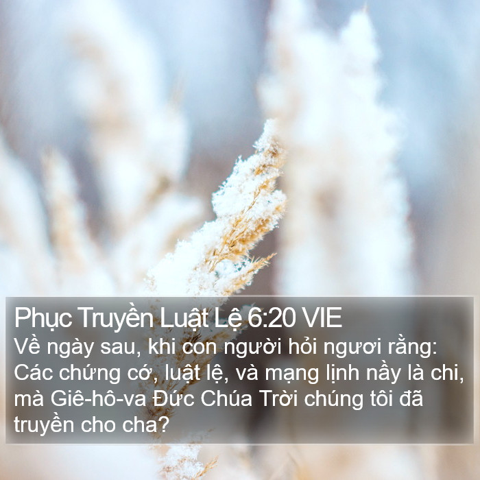 Phục Truyền Luật Lệ 6:20 VIE Bible Study