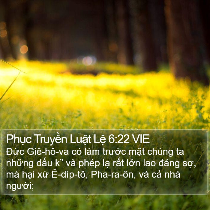 Phục Truyền Luật Lệ 6:22 VIE Bible Study