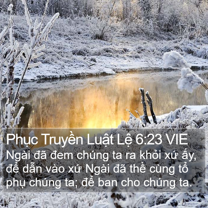 Phục Truyền Luật Lệ 6:23 VIE Bible Study