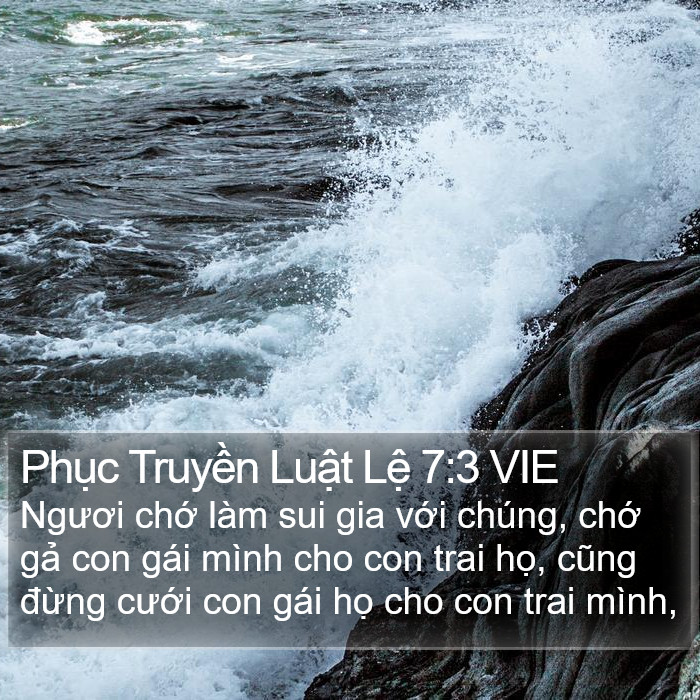 Phục Truyền Luật Lệ 7:3 VIE Bible Study