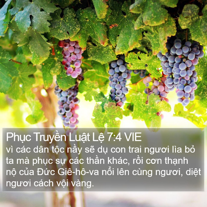 Phục Truyền Luật Lệ 7:4 VIE Bible Study