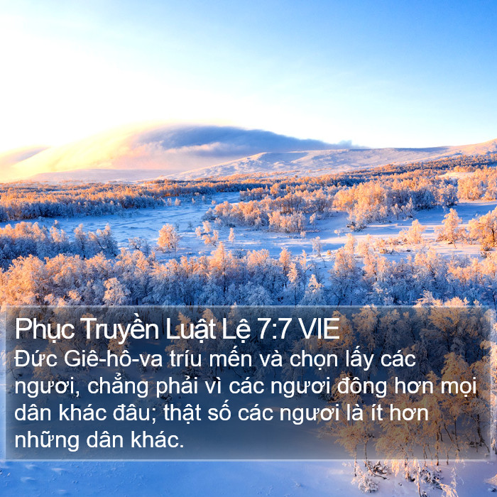 Phục Truyền Luật Lệ 7:7 VIE Bible Study