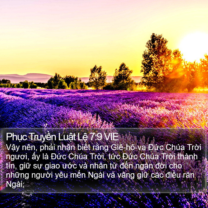 Phục Truyền Luật Lệ 7:9 VIE Bible Study