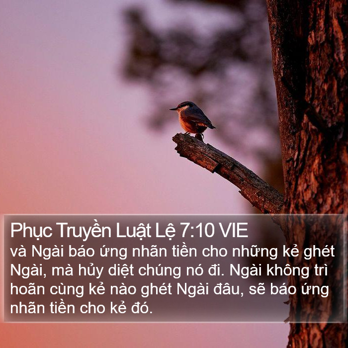 Phục Truyền Luật Lệ 7:10 VIE Bible Study