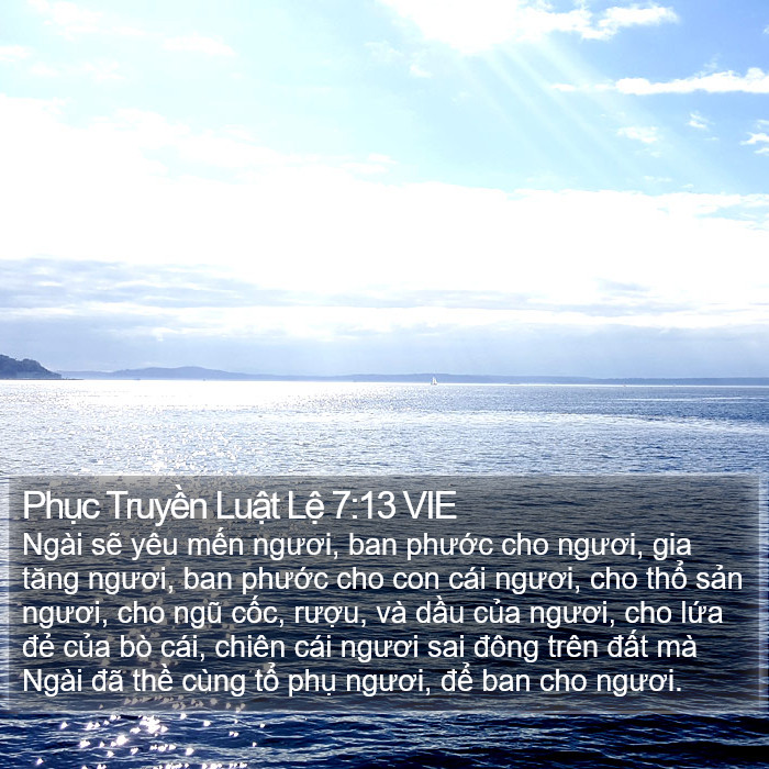 Phục Truyền Luật Lệ 7:13 VIE Bible Study