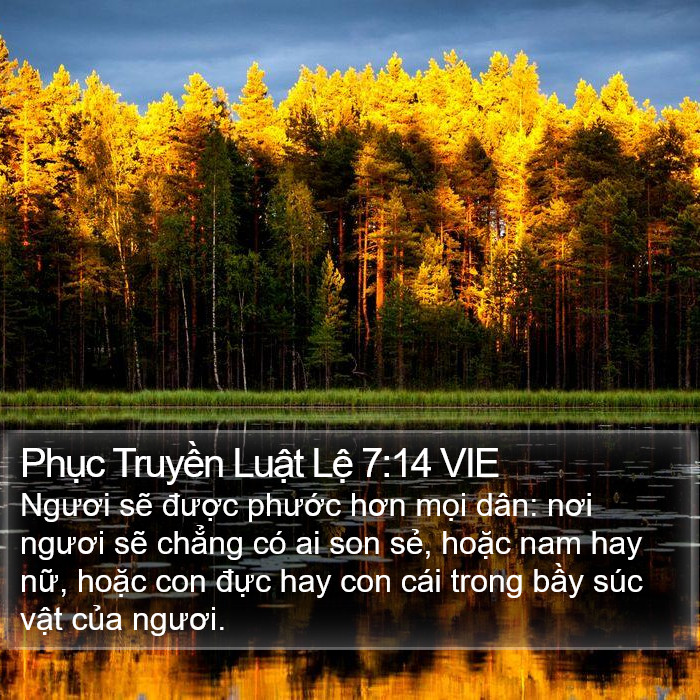 Phục Truyền Luật Lệ 7:14 VIE Bible Study