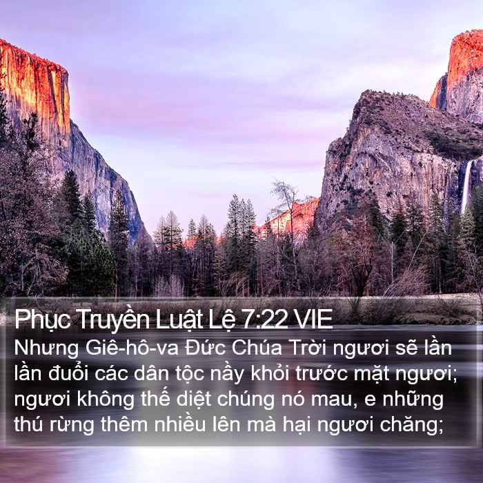 Phục Truyền Luật Lệ 7:22 VIE Bible Study