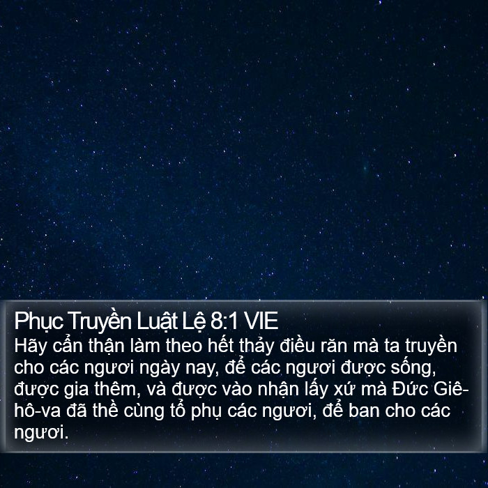 Phục Truyền Luật Lệ 8:1 VIE Bible Study