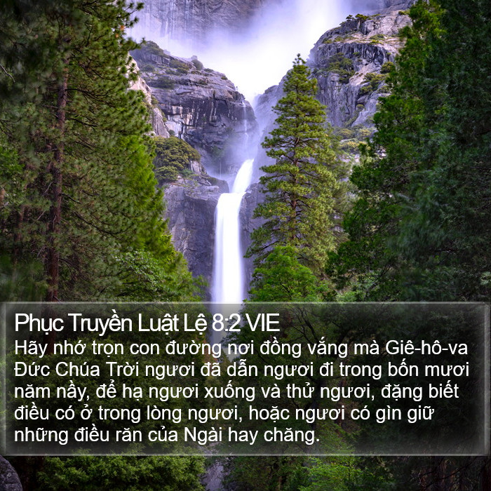 Phục Truyền Luật Lệ 8:2 VIE Bible Study