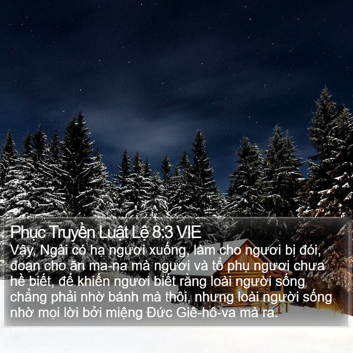 Phục Truyền Luật Lệ 8:3 VIE Bible Study