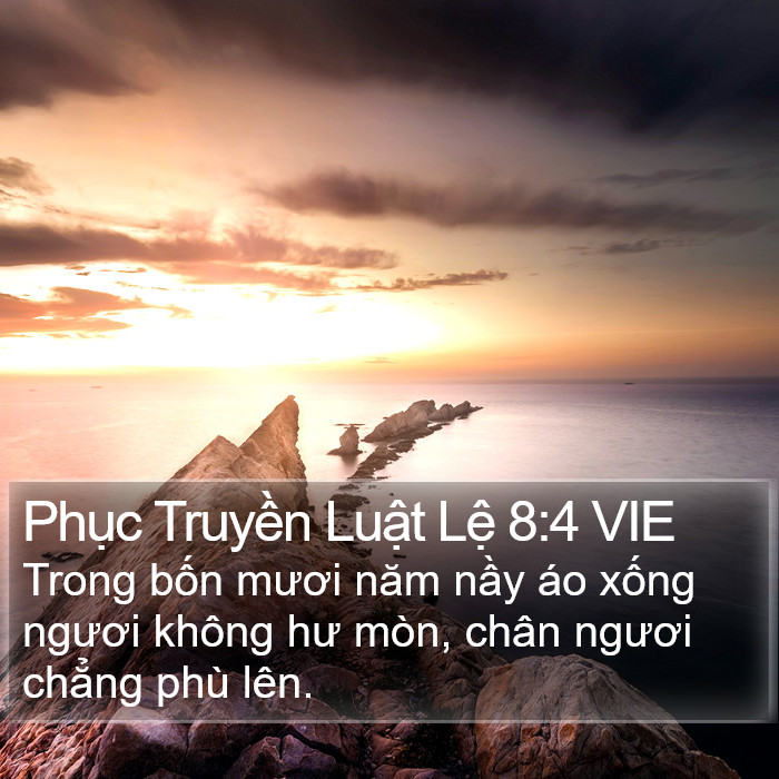 Phục Truyền Luật Lệ 8:4 VIE Bible Study