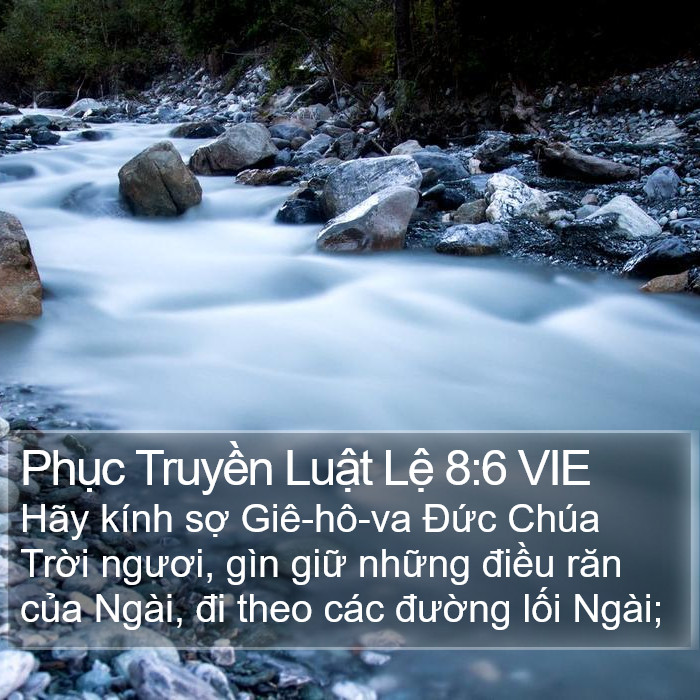 Phục Truyền Luật Lệ 8:6 VIE Bible Study