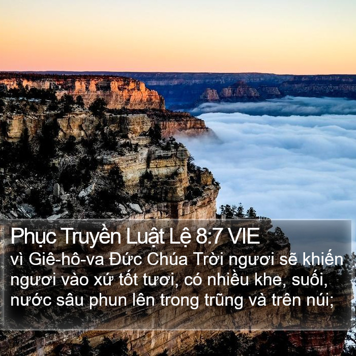 Phục Truyền Luật Lệ 8:7 VIE Bible Study