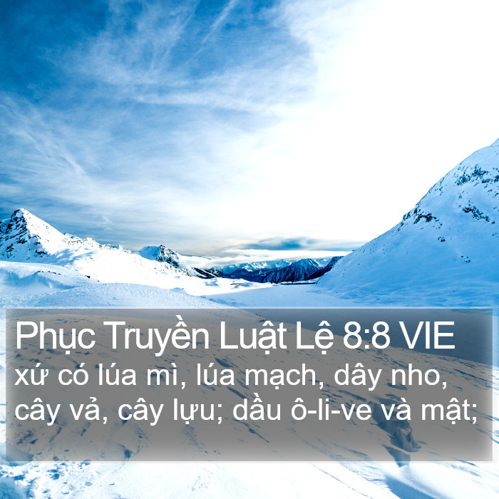 Phục Truyền Luật Lệ 8:8 VIE Bible Study