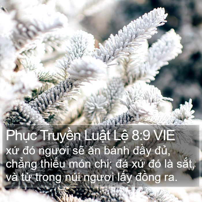 Phục Truyền Luật Lệ 8:9 VIE Bible Study