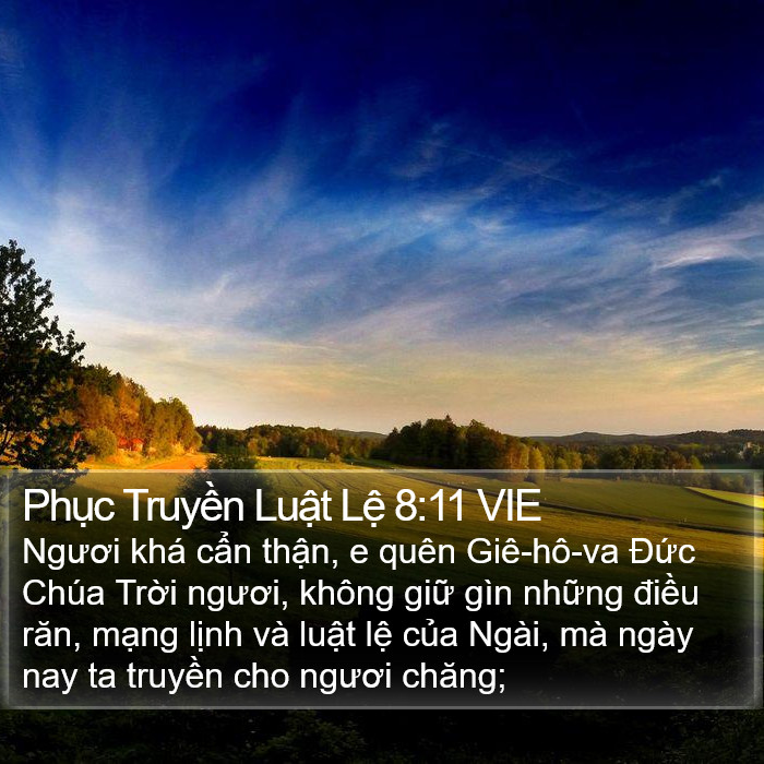 Phục Truyền Luật Lệ 8:11 VIE Bible Study