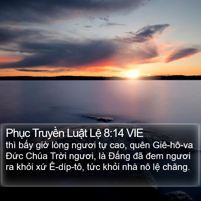 Phục Truyền Luật Lệ 8:14 VIE Bible Study