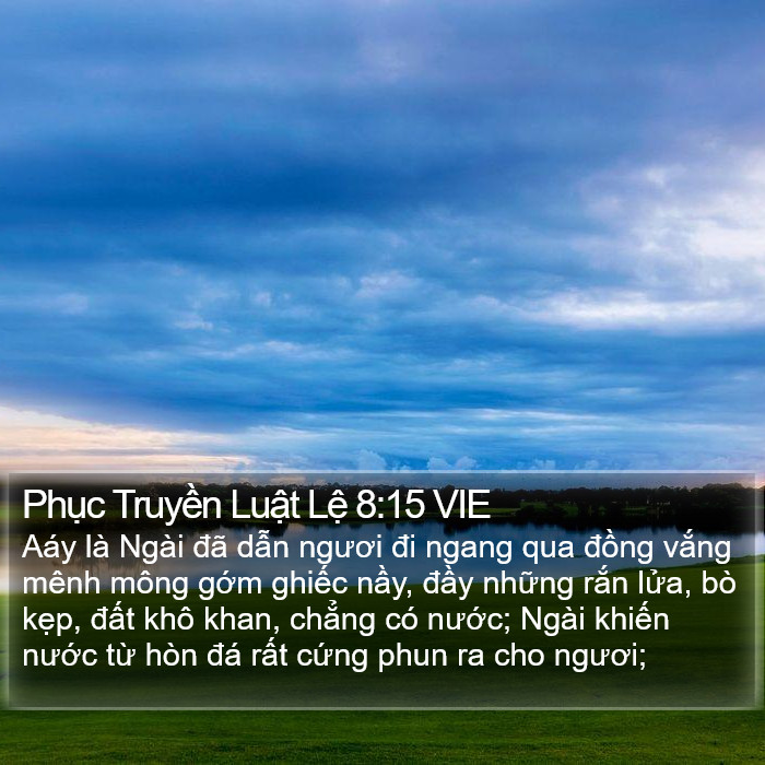 Phục Truyền Luật Lệ 8:15 VIE Bible Study